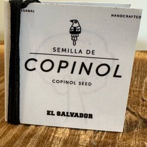 Semilla de Copinol Seed  Necklace